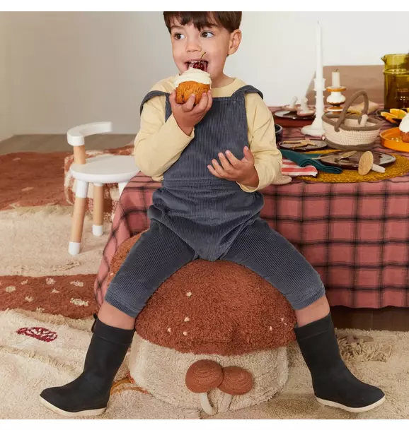Pouf Boletus