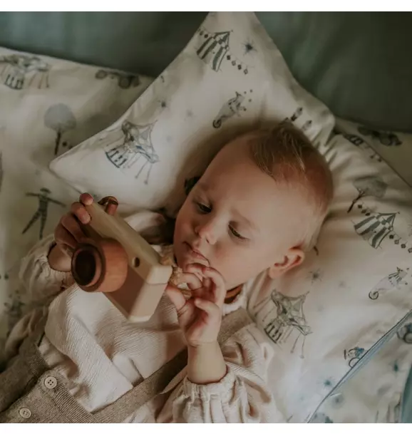 Adventures in Wonderland Toddler Pillow Set - Aqua