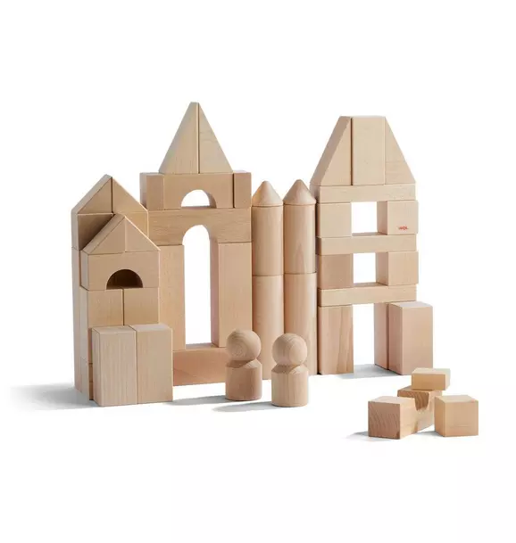 Basic Building Blocks 60 Piece Large Starter Set