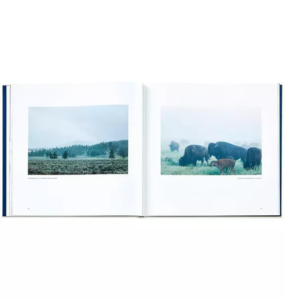 Yellowstone: A Land of Wild and Wonder LEATHER EDITION
