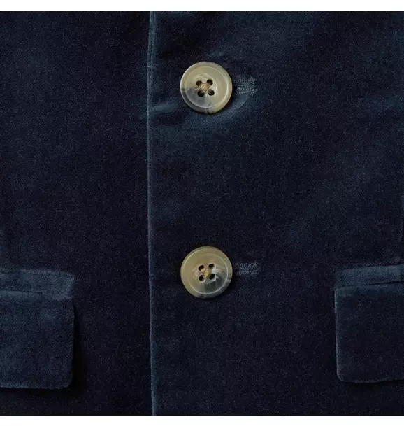 The Velvet Blazer