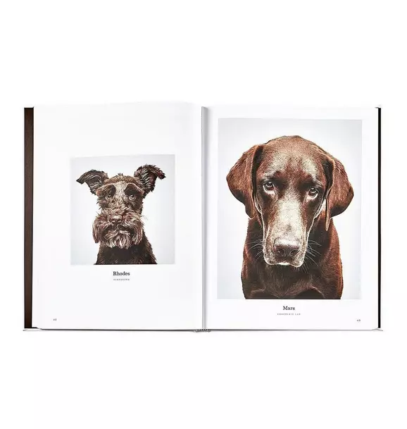 GOOD DOG  LEATHER EDITION