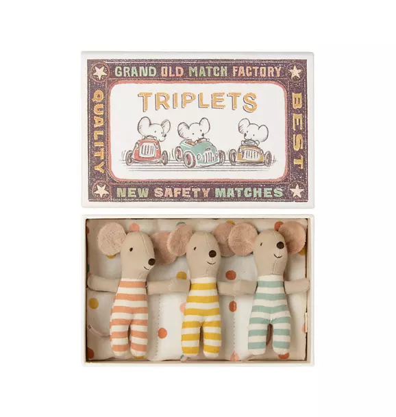 Baby Triplets in Box