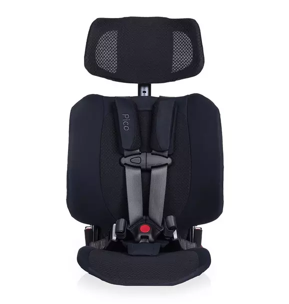 Pico Portable Car Seat