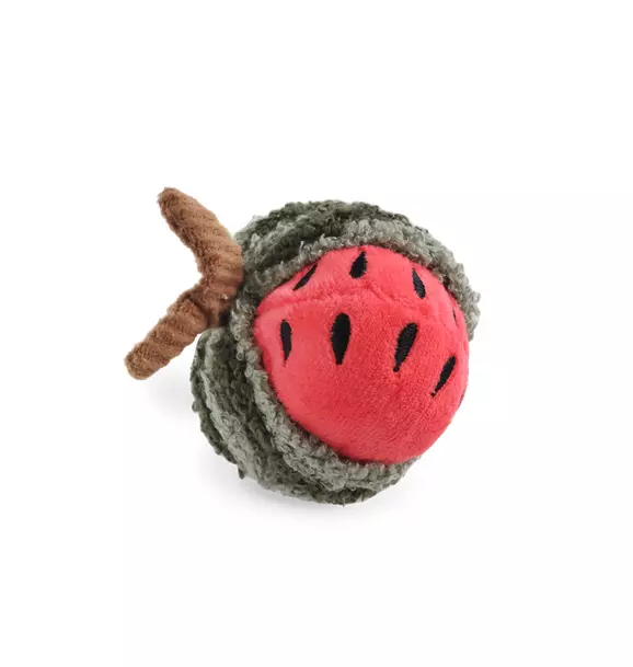 Watermelon Rattle