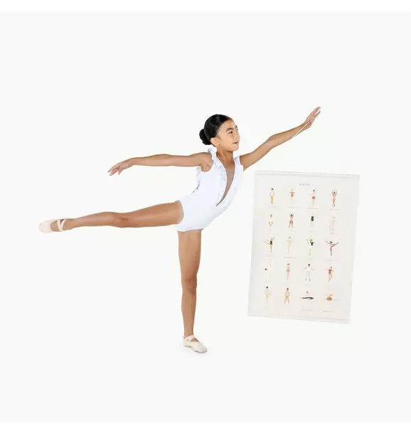 Ballet Basics Poster