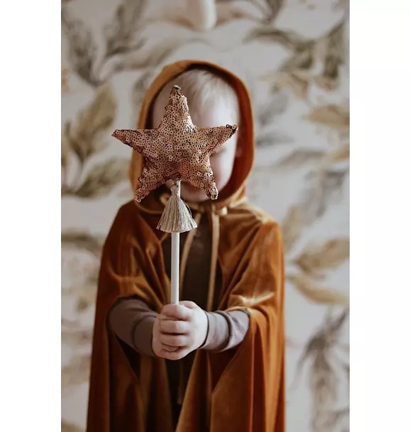 “Little Gold Riding Hood” Magic Cape