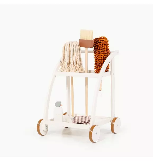 Cleaning Cart