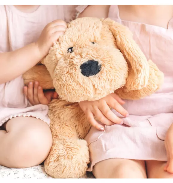 Charlie the Weighted Puppy Dog