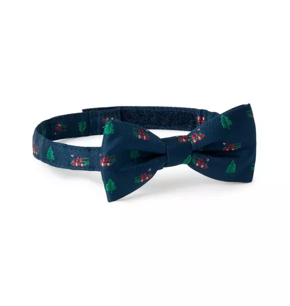 Train Bowtie