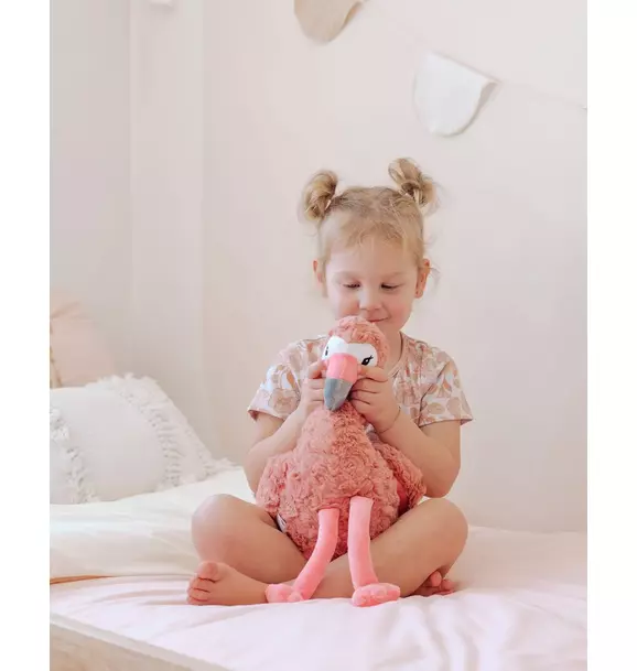 Francesca the Weighted Flamingo