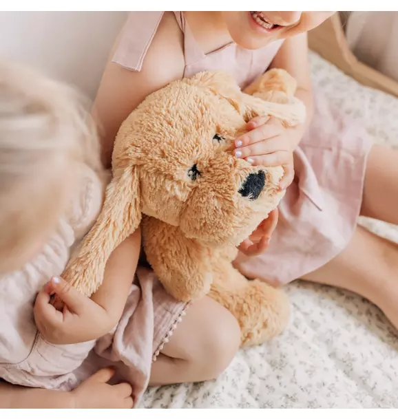 Charlie the Weighted Puppy Dog