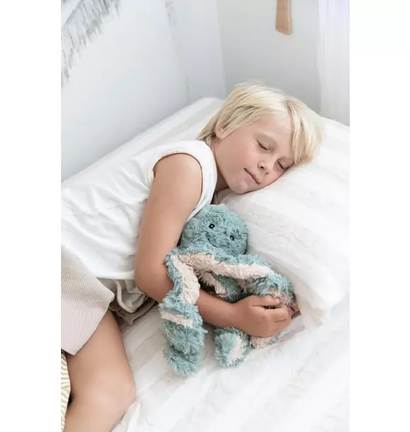 Ollie the Weighted Octopus