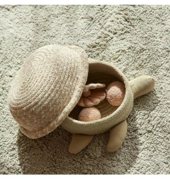Basket Baby Turtle