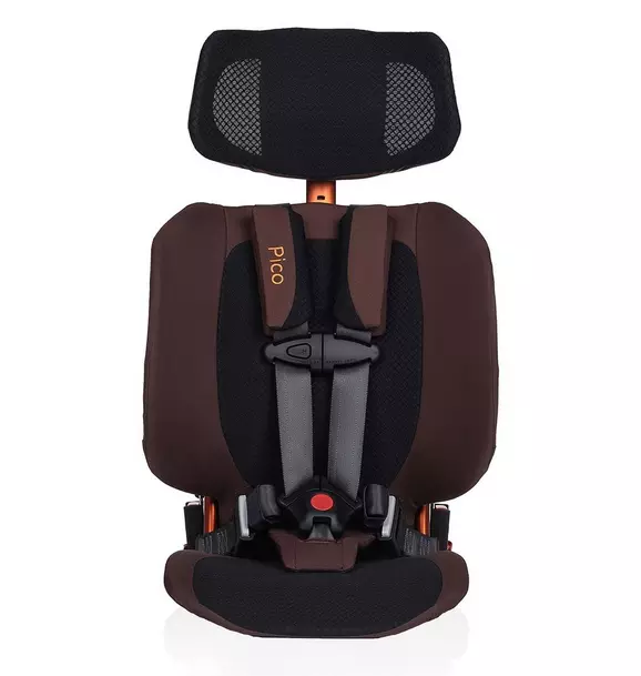 Pico Portable Car Seat