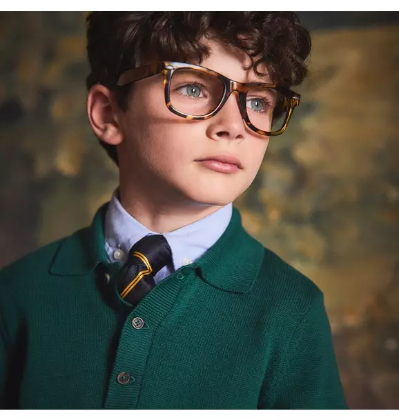 The Polo Sweater
