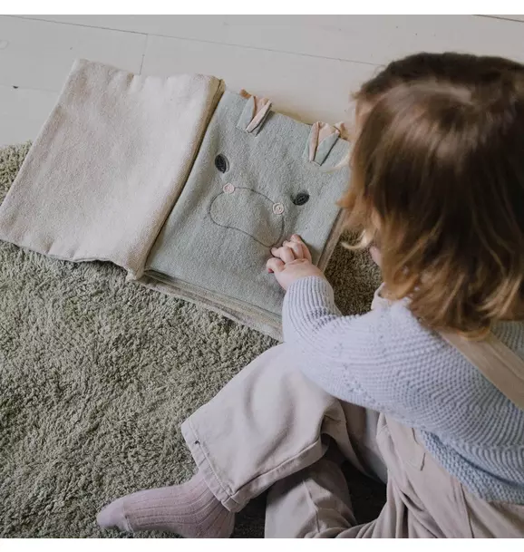 Sensory Book Animals