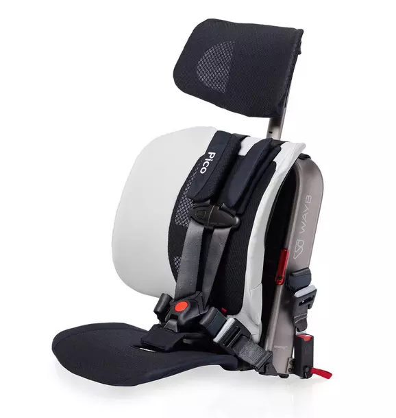 Pico Portable Car Seat
