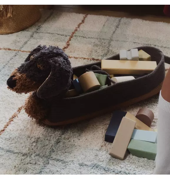 Basket Sparky