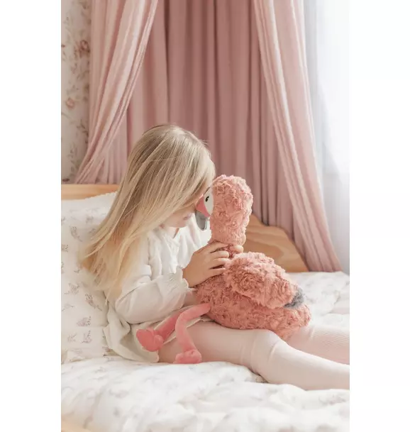 Francesca the Weighted Flamingo