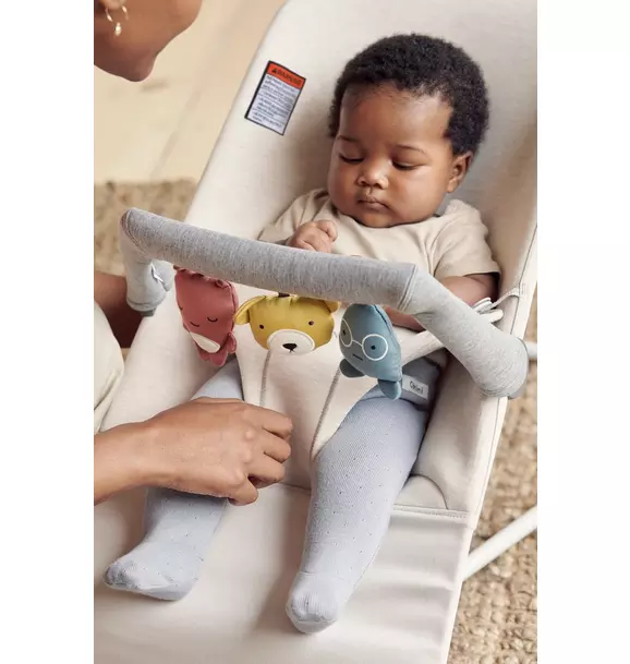 Bouncer Toy: Soft Friends