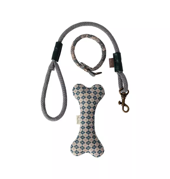 Puppy supply, Accessories - Blue