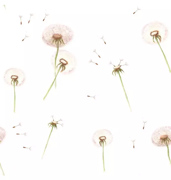 Dandelions Wallpaper