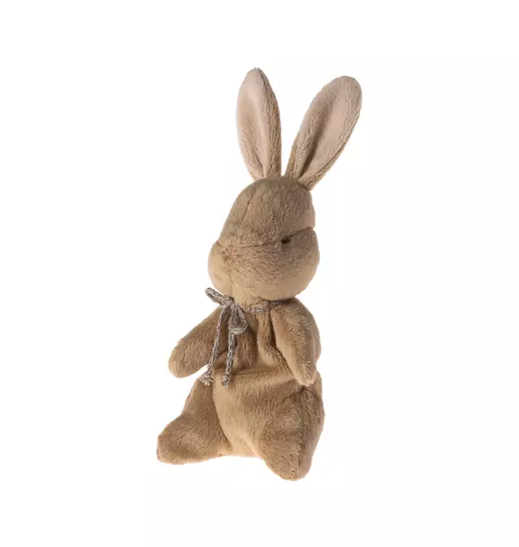 My first bunny - Brown