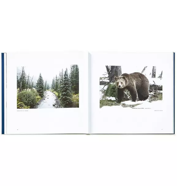 Yellowstone: A Land of Wild and Wonder LEATHER EDITION