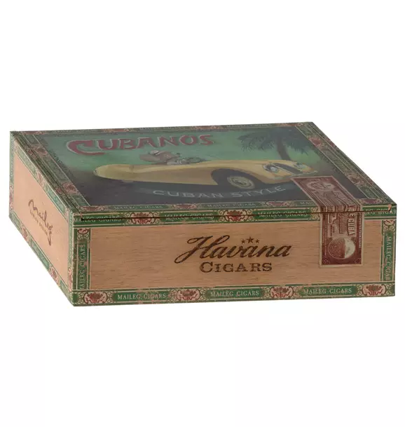 Grandma & Grandpa Mice in Cigarbox