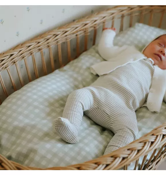 Picnic Gingham Crib Sheet- Green