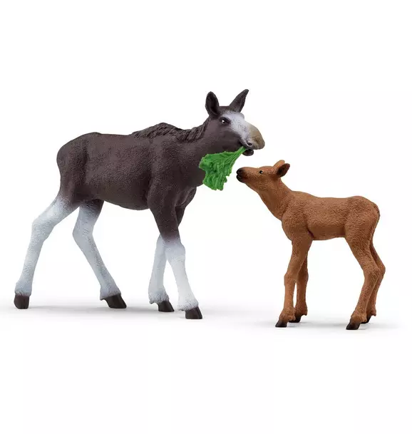 Wild Life: Moose Family