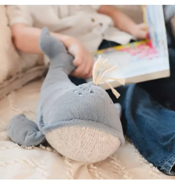 Wally the Whale