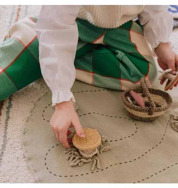 Snail Toy Set