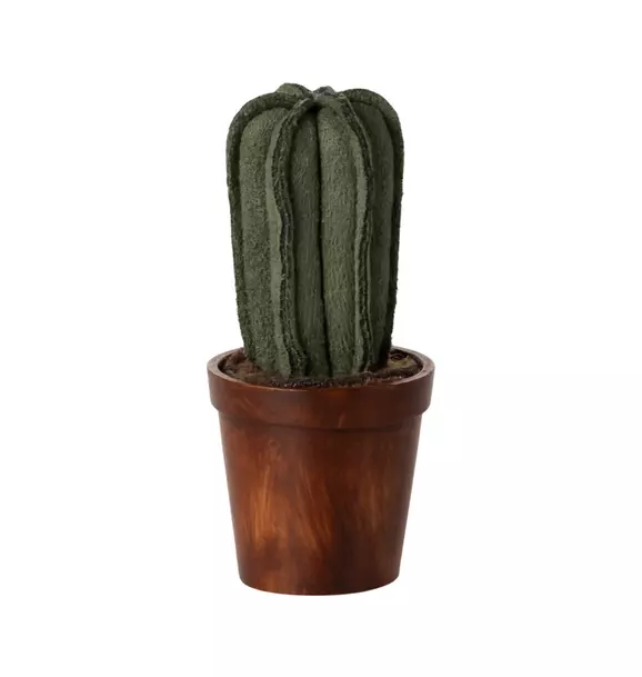 Flower pot with cactus