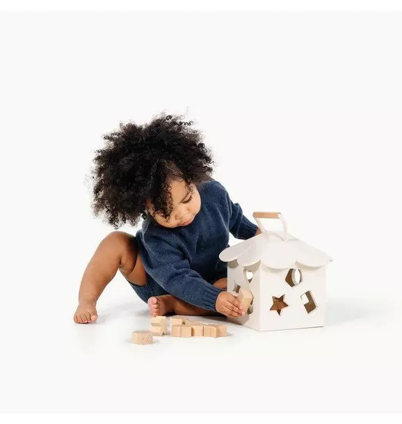 Shape Sorter