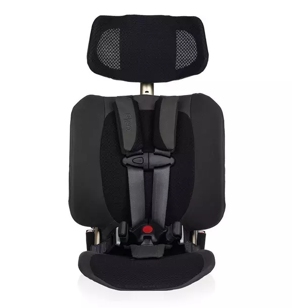 Pico Portable Car Seat