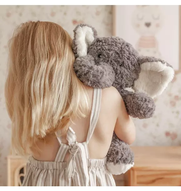 Eleanor the Weighted Elephant 