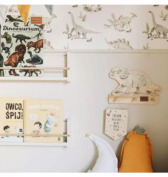 Dino Mini Shelf