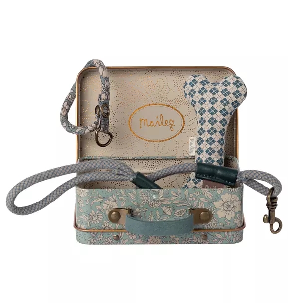 Puppy supply, Accessories - Blue