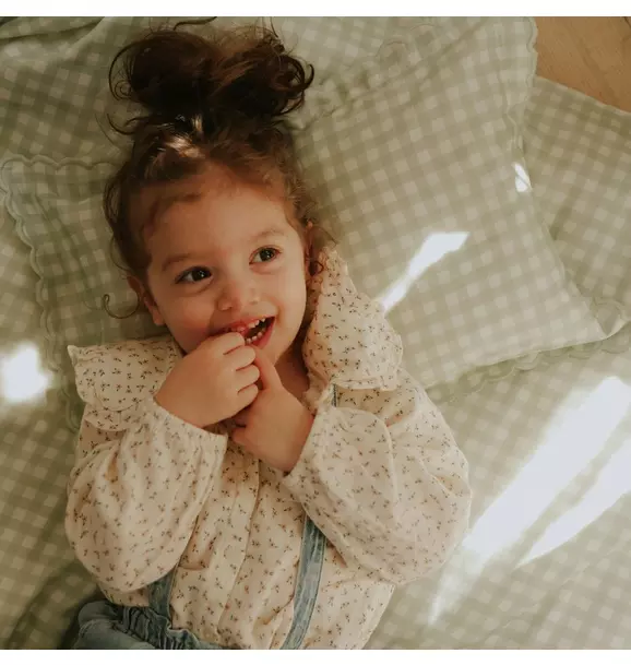 Picnic Gingham Toddler Pillow Set- Green