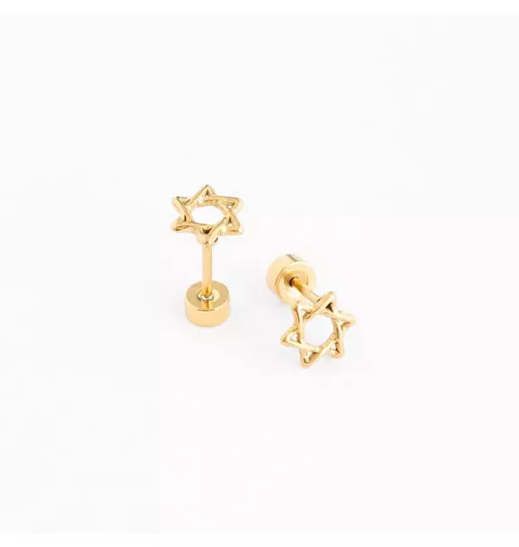 Star Of David Stud Earrings