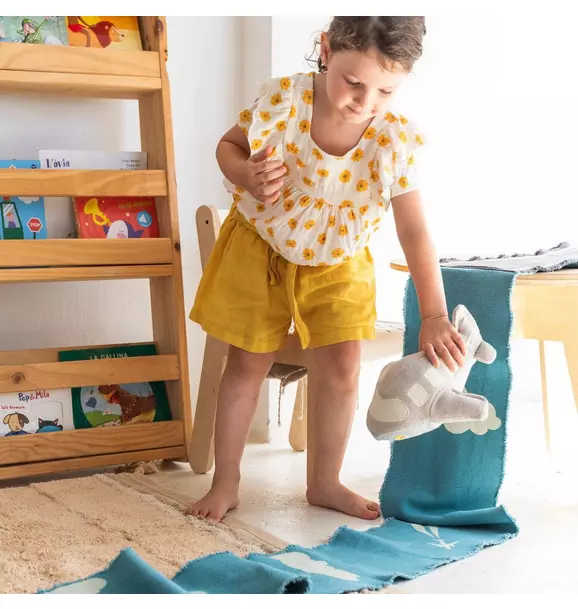 Ride & Roll Airplane