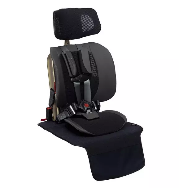 Pico Vehicle Seat Protector
