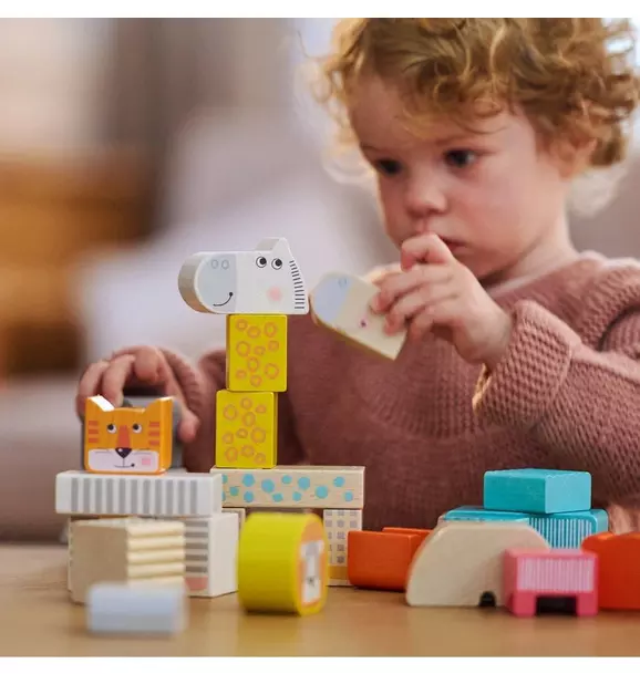 Animal Parade Blocks