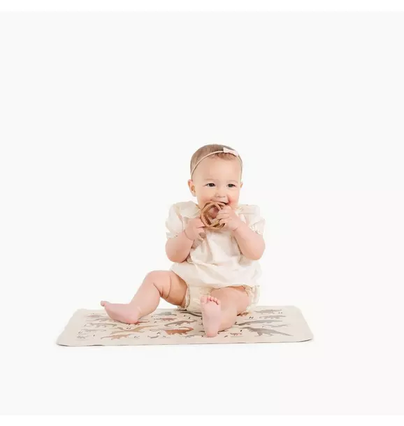 Dinosaur Alphabet Changing Mat