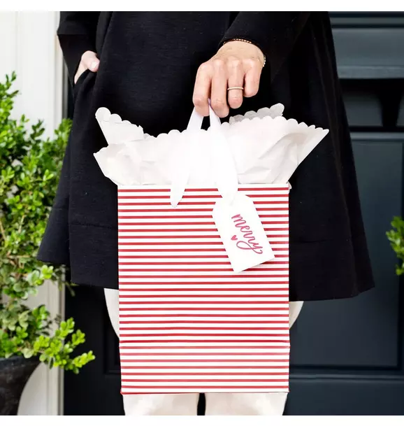 Candy Cane Stripe Holiday Gift Bag