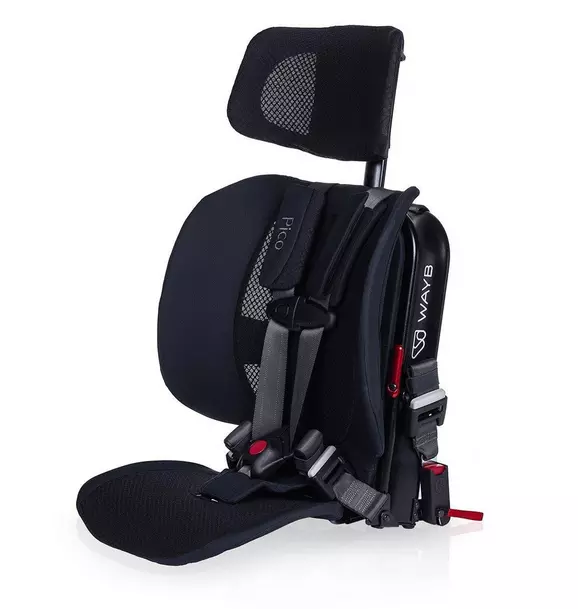 Pico Portable Car Seat