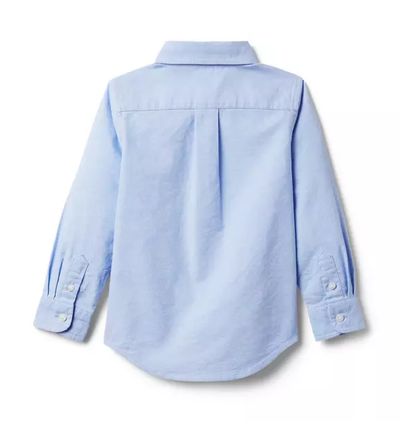 The Oxford Shirt