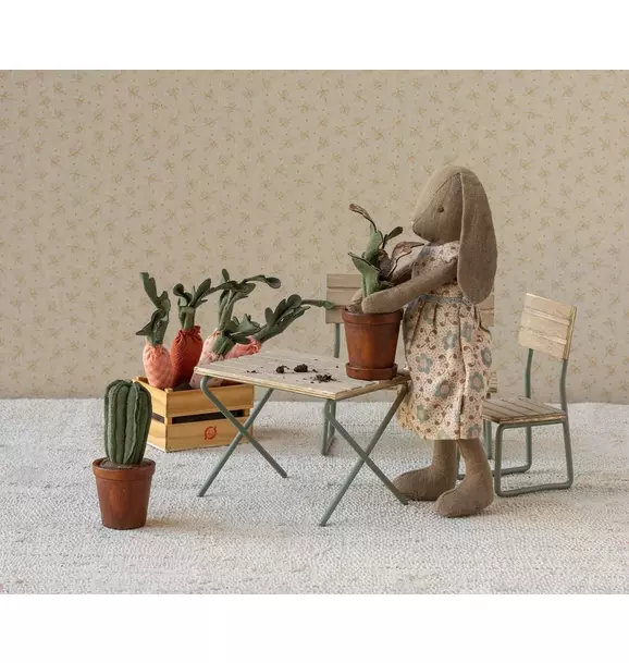 Flower pot with cactus